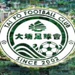 Tai Po FC: History, Key Players & Recent Achievements